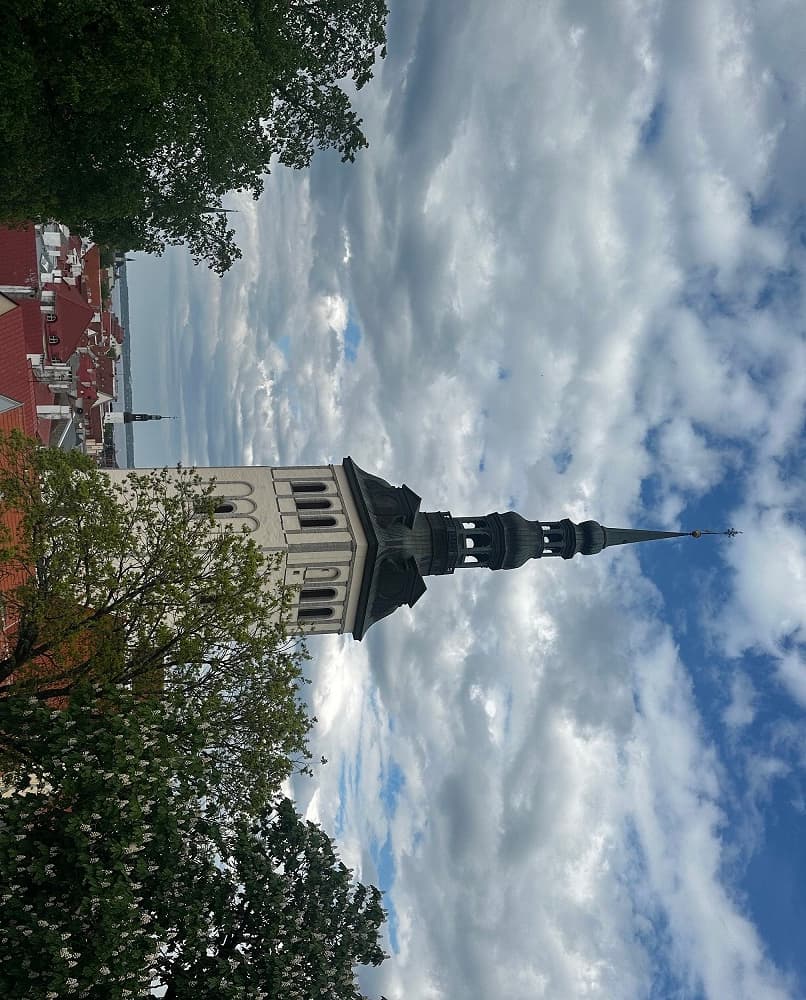 Estonia: Udhëtim në një shoqëri që klikon, jo bërtet