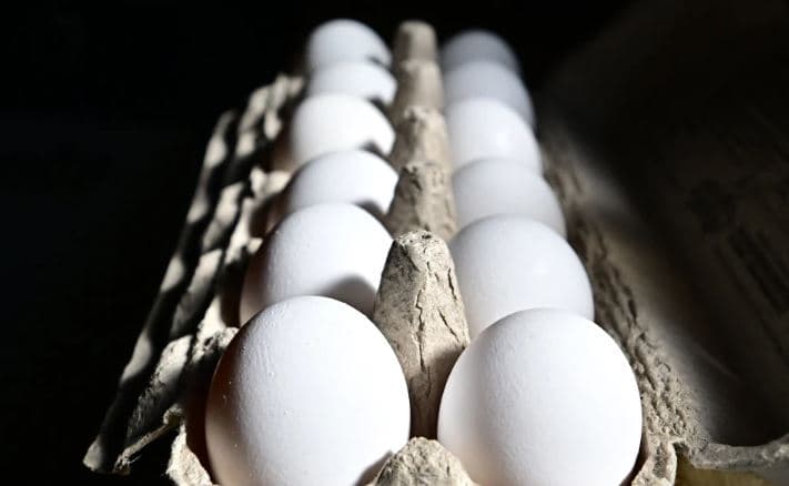 1.7 milion vezë tërhiqen nga tregu pas shpërthimit të salmonelës në SHBA