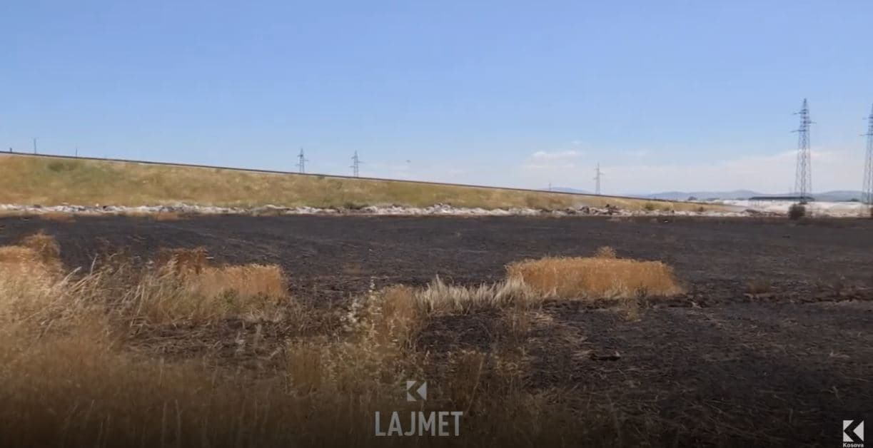 Digjet ara me 2 hektarë grurë në Bardhosh - pronari fajëson institucionet përgjegjëse (VIDEO)