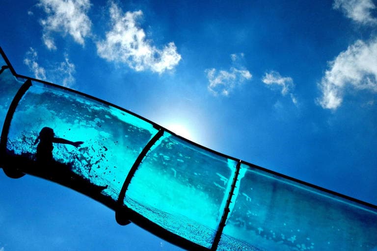 Vdes një 3-vjeçare turiste në Kroaci, rrëshqiti nga duart e babait në topogan uji