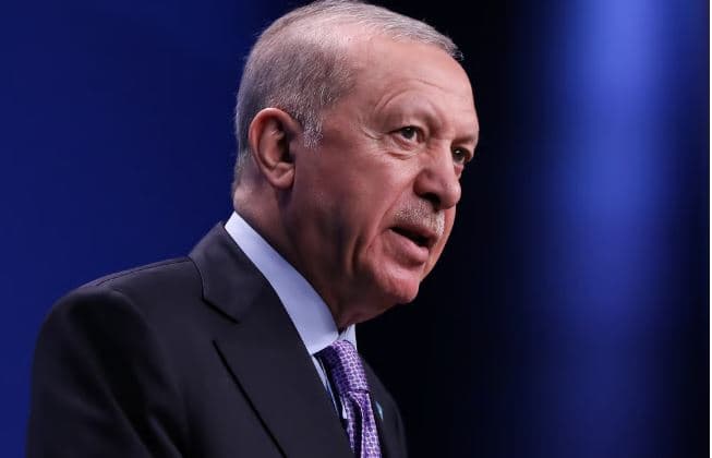 E fyeu Erdoganin, Turqia ndalon chatbot-in Grok të Elon Musk