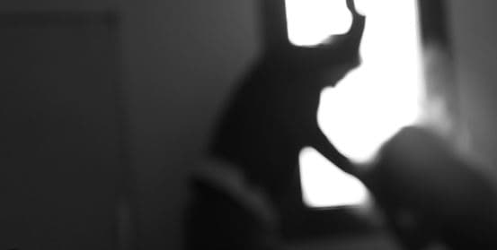 Përleshje familjare në Ferizaj, tre të lënduar dhe një i arrestuar - konfiskohet armë zjarri