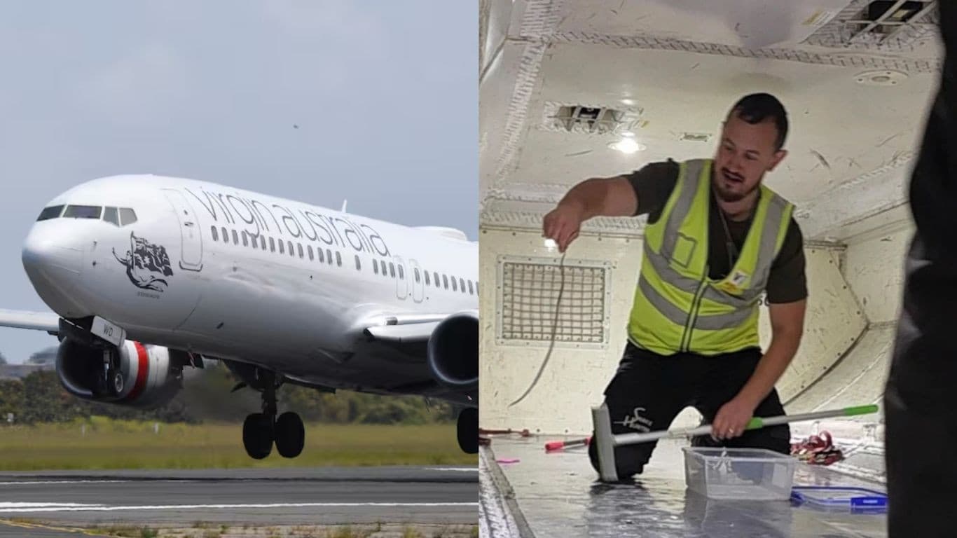 Gjarpri shkon si "udhëtar i paftuar" në aeroplan, vonon fluturimin për dy orë