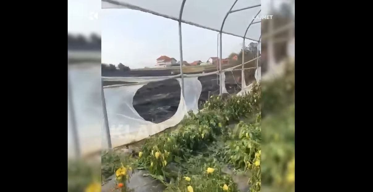 Qytetarit nga Turiqefci i Skenderajt i përfshihet serra nga zjarri (VIDEO)