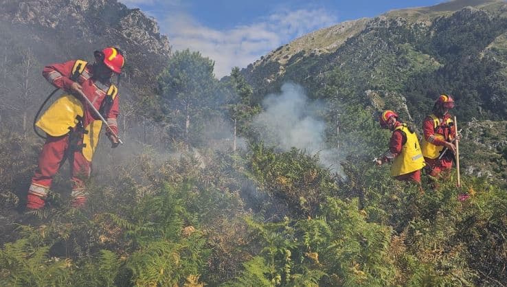 Situata e zjarreve në Shqipëri - 5 vatra janë ende aktive