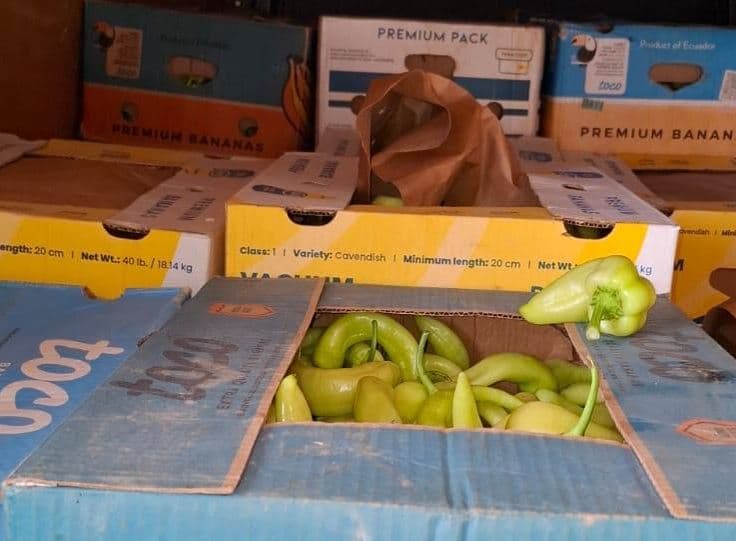 Tentim kontrabande në Kamenicë, sekuestrohen 1 mijë kilogramë speca