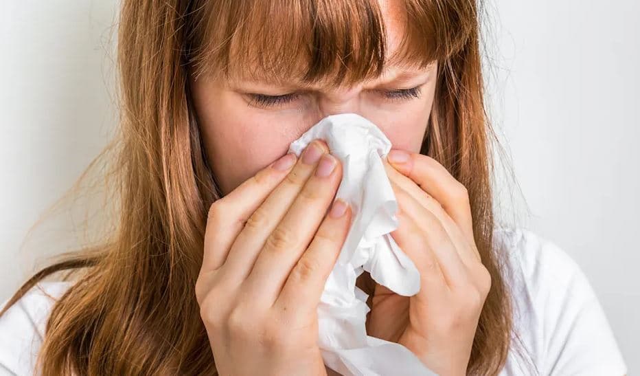 Teshtima gjatë verës: Kur një ftohje mund të jetë alergji?