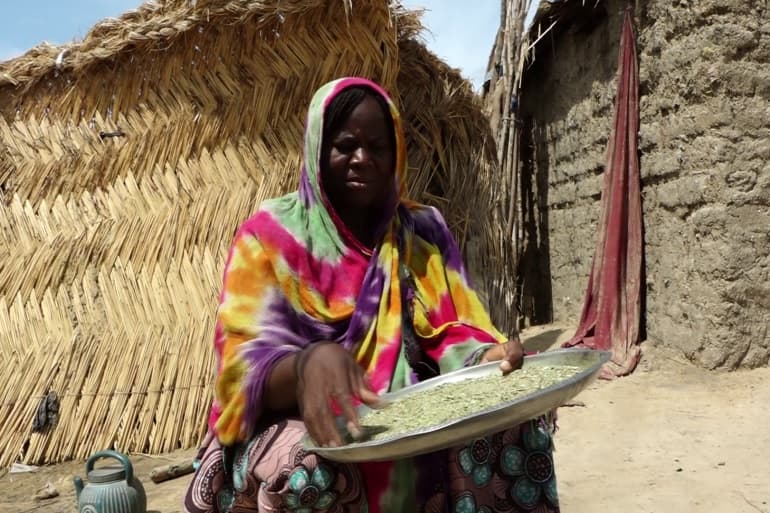 Nigerianët e zhvendosur kanë frikë nga Boko Haram, qëndrojnë në kampet që po mbyllen
