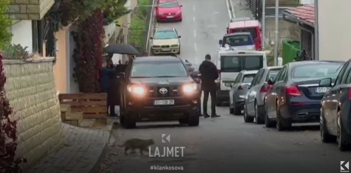 Macja i solli ters, dështimi i Qeverisë 'Kurti 3' (VIDEO)