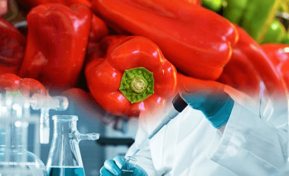 Mbetje pesticide mbi normë, Sllovenia bllokon një sasi specash nga Shqipëria