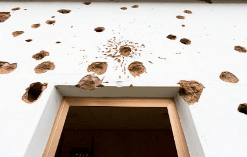Të shtëna me armë zjarri drejt një shtëpie në Prishtinë, gjenden 27 gëzhoja