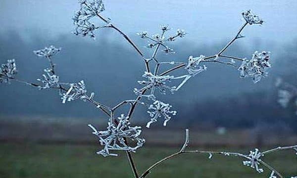 Vranësira dhe intervale me diell - parashikimi i motit për ditën e premte