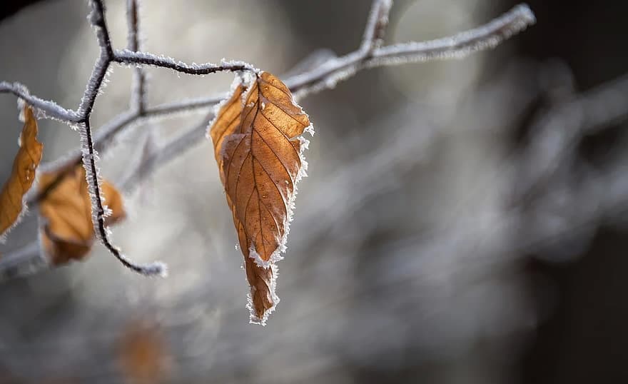 Moti sot: Vranësira dhe ngrica, temperaturat deri -4 gradë