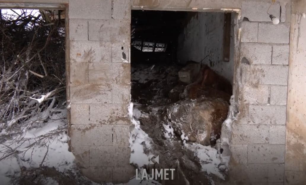 Reshjet në Kaçanik - Pamje nga vendi ku rrëshqiti dheu dhe mbyti bagëtinë (VIDEO)