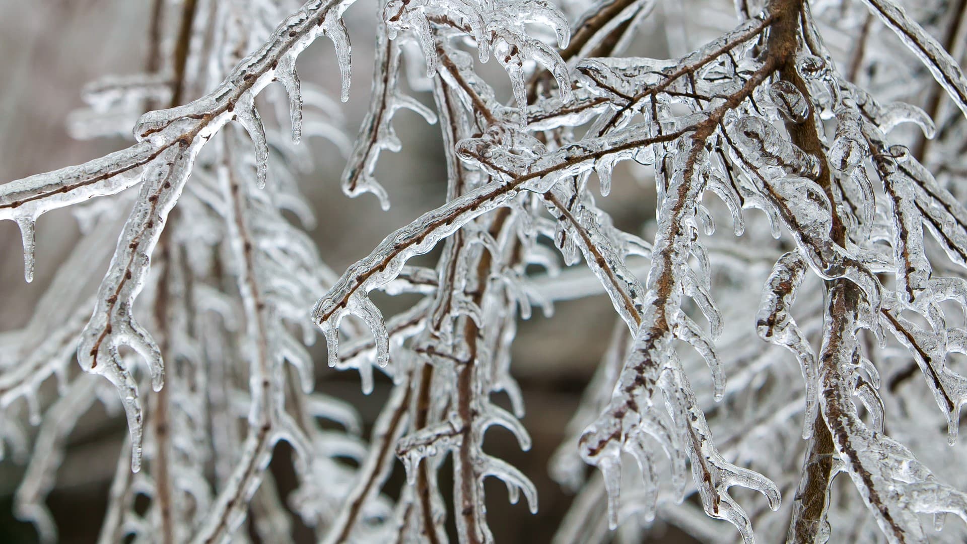 Mot i ftohtë të hënën: Ngrica dhe temperatura deri në -9