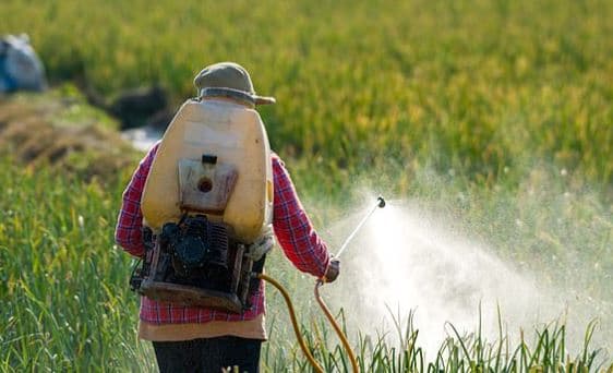 Inspektim i gjerë i institucioneve: Mbi 100 lëndë nën auditim për shkelje në regjistrimin e pesticideve