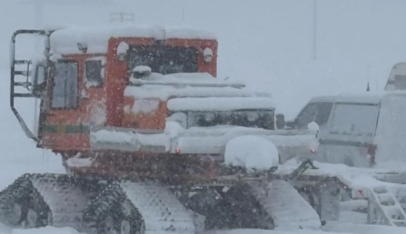 Ortek në Kaliforni, 10 skiatorë raportohen të zhdukur