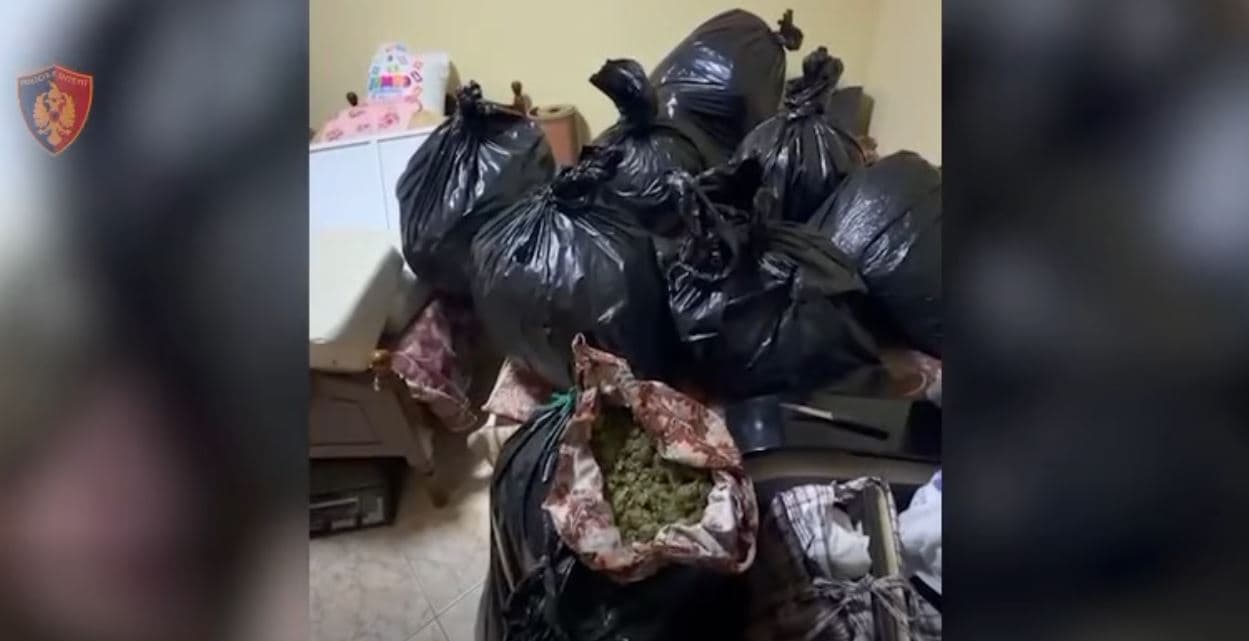 Aksion i madh policor në Vlorë, sekuestrohen rreth 57 kilogramë kanabis