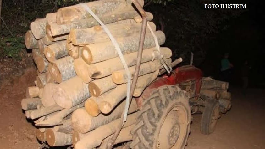 Gjilan: Kapet një burrë duke transportuar ilegalisht drunj