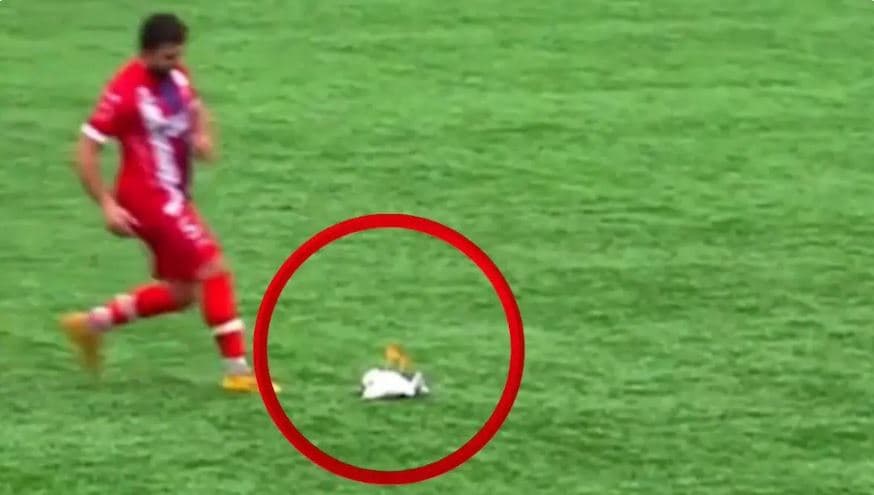 Mrekulli në futboll: Lojtari shpëton pulëbardhën që u godit nga portieri (VIDEO)