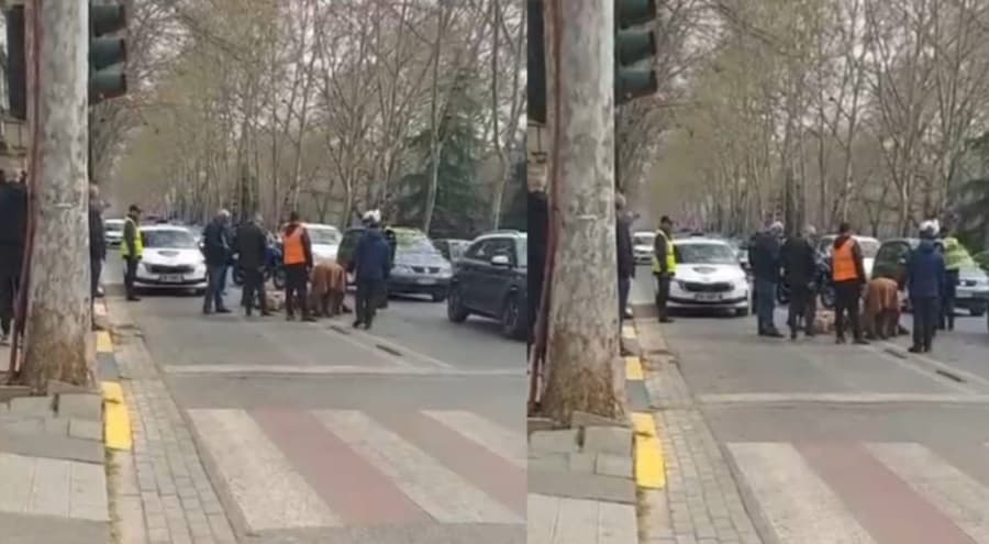 E rëndë: Aksident me fatalitet në Tiranë, cisterna e ujit përplas gruan me motor
