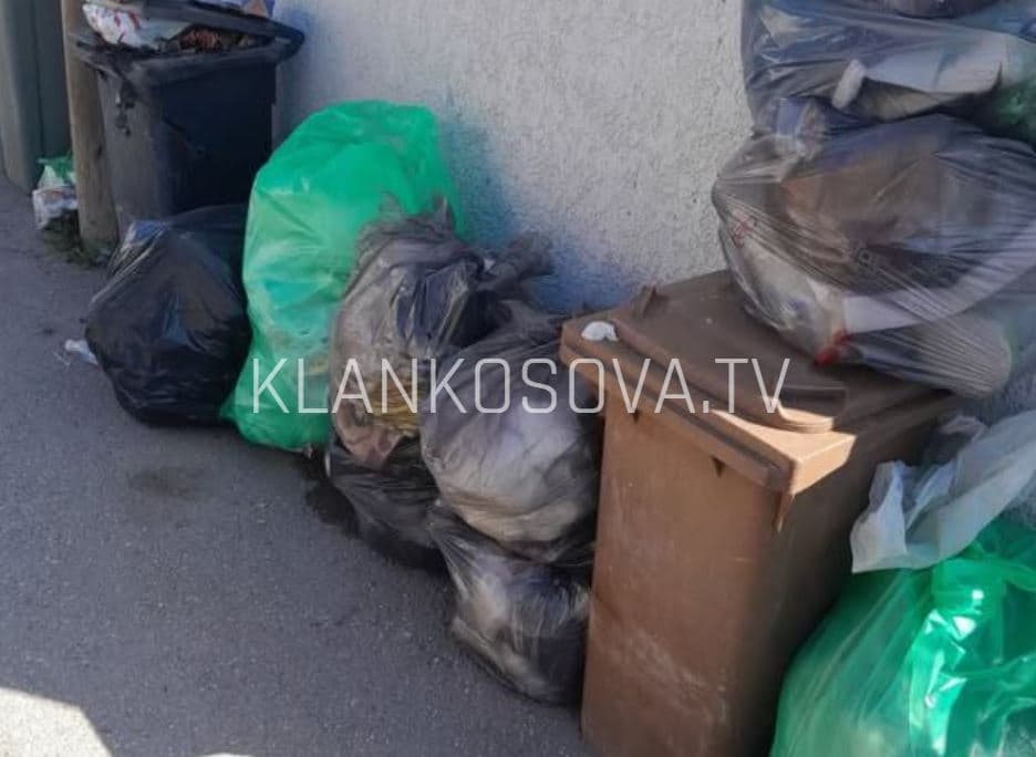 “2 muaj pa u larguar”, banorët e Hajvalisë ankohen për gjendjen me mbeturina