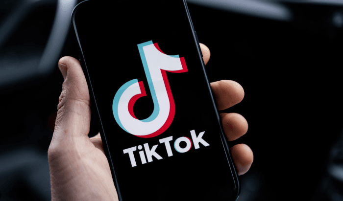 Mbyllja e TikTok-ut nga qeveria shqiptare, Gjykata Kushtetuese: Cenoi lirinë e shprehjes