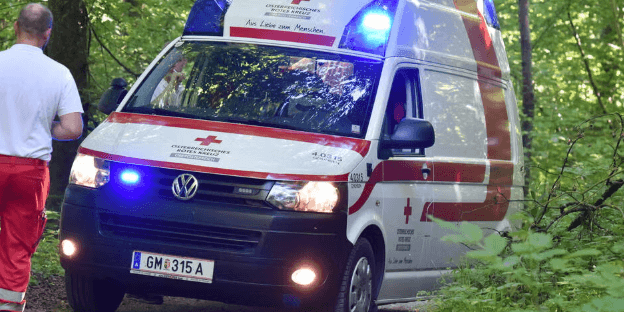 31-vjeçari rrah nënën deri në pavetëdije në Austri