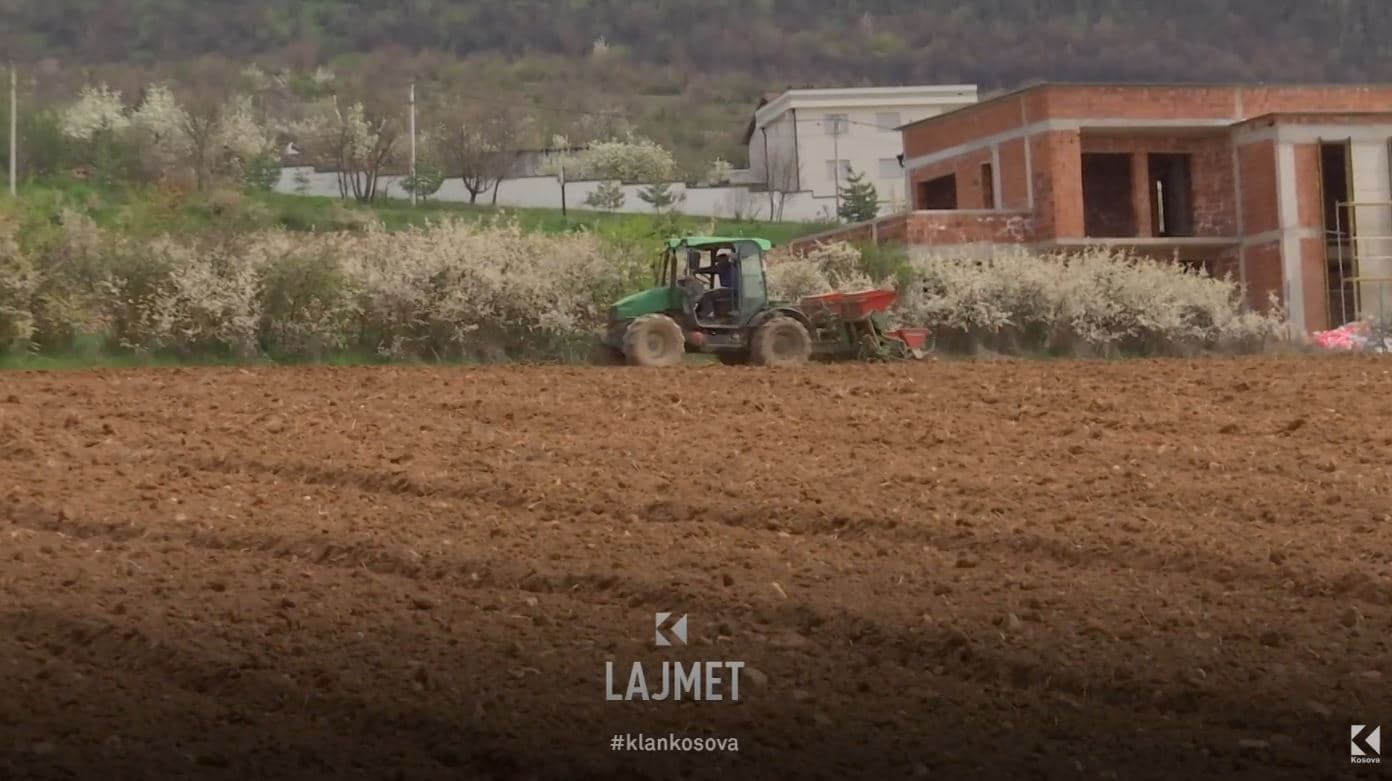 Bujqit duan ndihmë: Hormuzi ‘shkreton’ edhe arat e Kosovës (VIDEO)