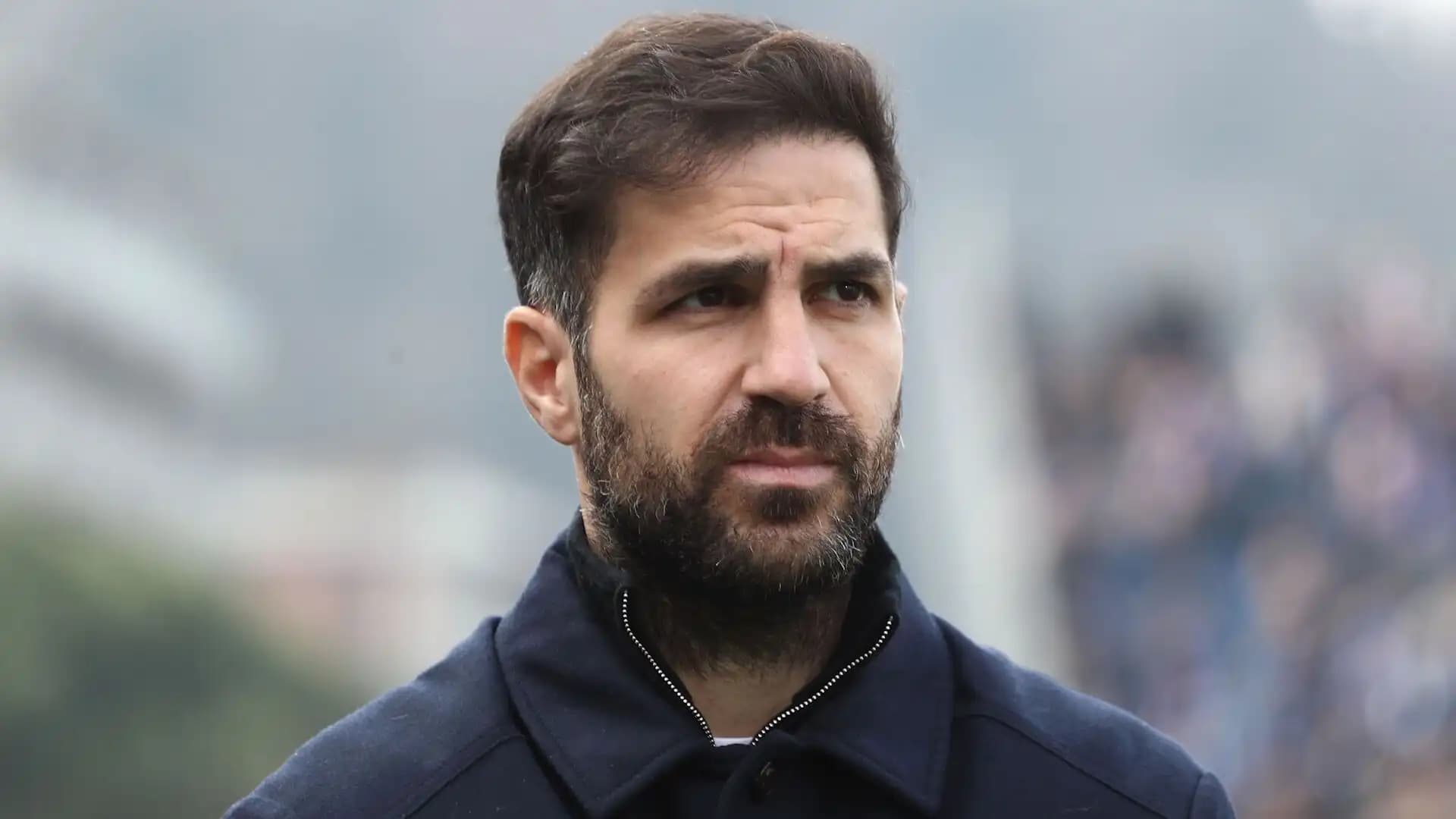Cesc Fabregas: PSG-Bayern, ndeshja më e mirë që kam parë ndonjëherë