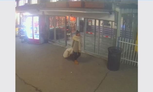 Lajmëroni policinë nëse e shihni këtë grua, po kërkohet për vjedhje