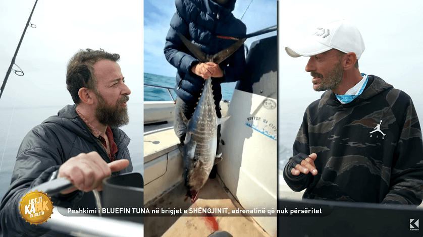 Kapja e “Bluefin Tuna” në Shëngjin, emisioni “Krejt KAPAK” sjell një aventurë të paparë (VIDEO)