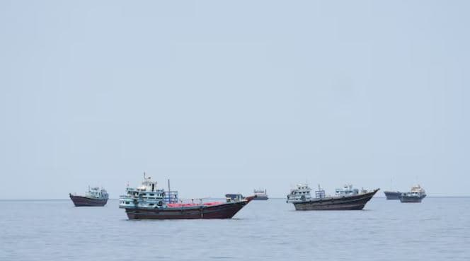 Turqia mund të shqyrtojë pjesëmarrjen në deminimin e Hormuzit
