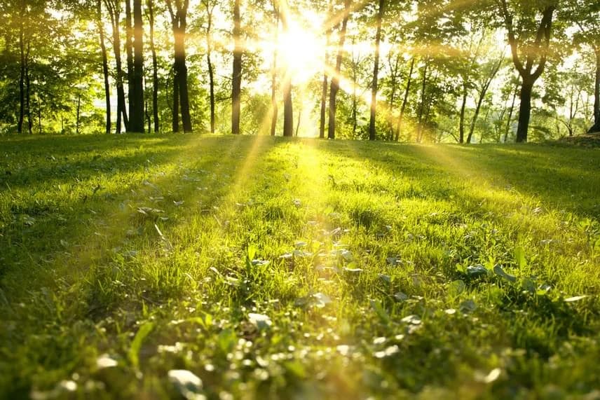 Mot me diell, temperaturat deri në 32°C