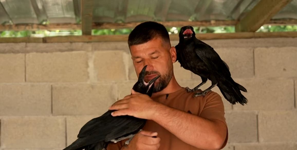 "Sorra çapkëne" dhe skifteri, njihuni me Soni Arapin që jeton mes shpezëve (VIDEO)