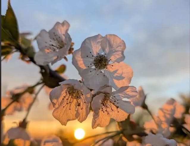 Temperaturat shkojnë nesër deri në 32 gradë