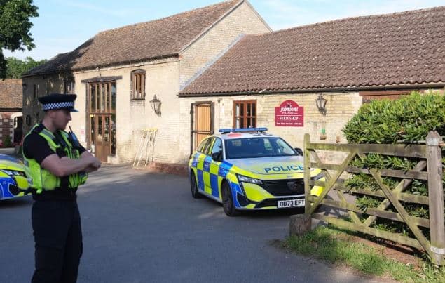 Britani: Fëmija bie në kafaz krokodilësh, arrestohet një burrë