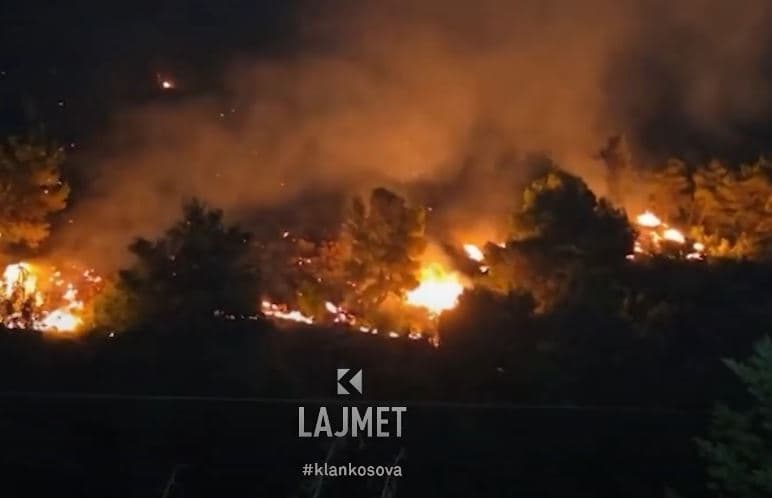 Zjarret në Shëngjin: Operacion me helikopterë për shuarjen e flakëve (VIDEO)