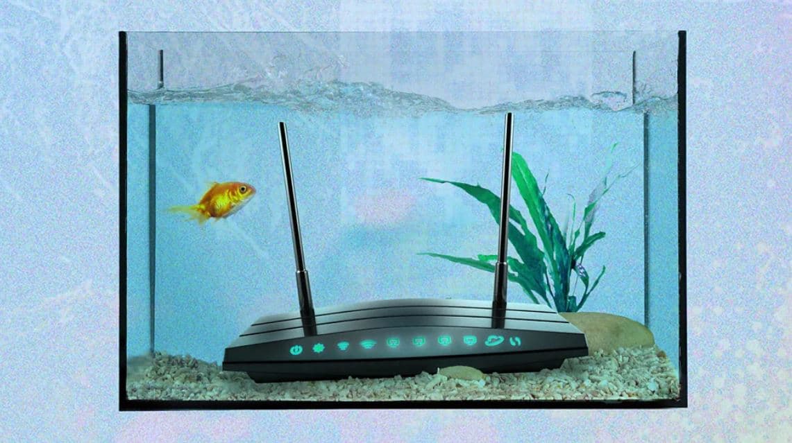 Këto janë gjërat më të çuditshme që prishin Wi-Fi-n