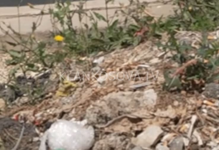 Gropat pushtojnë Rrugën e Bledit, banorët: Pamje e turpshme! (VIDEO)