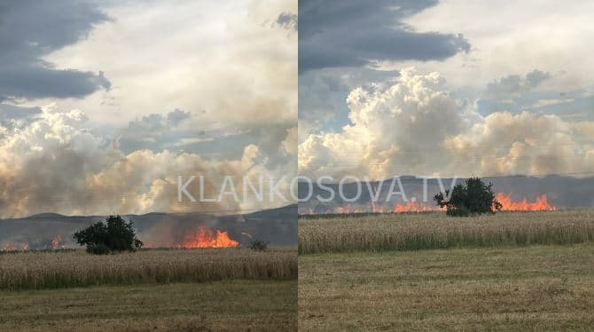 Vetëtima shkakton zjarr në një arë të Novobërdës  