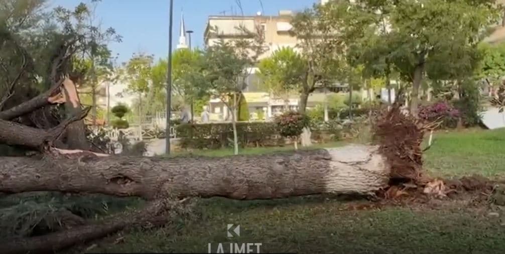 Dy të vdekur nga stuhia në Shqipëri (VIDEO)