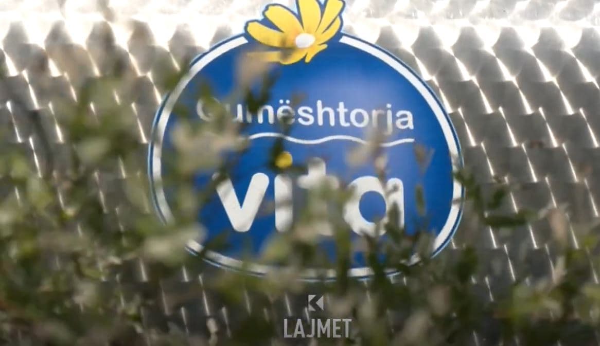 Ujdi e përkohshme: “Vita” rinis grumbullimin e qumështit (VIDEO)