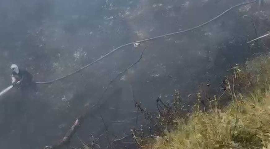 Zjarr në Vlorë, flakët përfshijnë sipërfaqe me shkurre dhe bimë - dyshohet se ishte i qëllimshëm