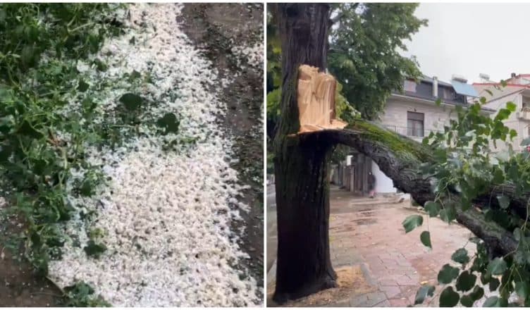 Stuhi e fortë në Korçë, breshri dëmton të mbjellat në Devoll, era rrëzon pemët në shesh