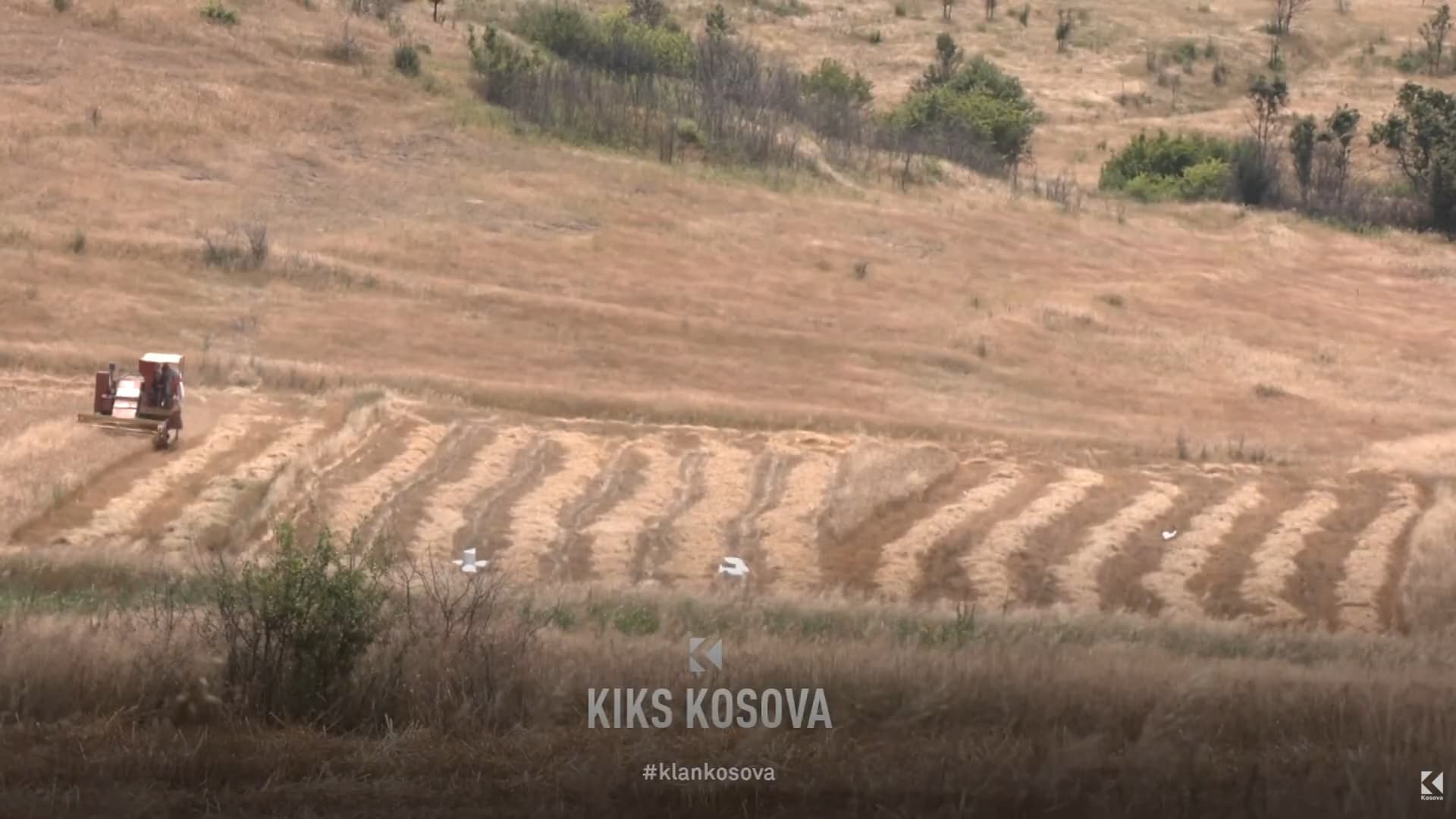75 ha tokë në Gjilan për kompaninë "fiktive" të farmacistit dhe futbollistit (VIDEO)