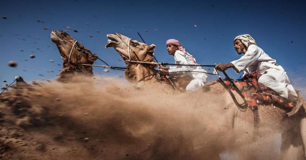 Fotografitë më mbresëlënëse nga National Geographic 2015
