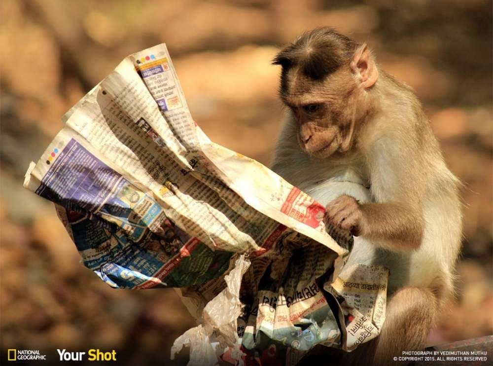 Këto fotografi nuk mund t’i harroni