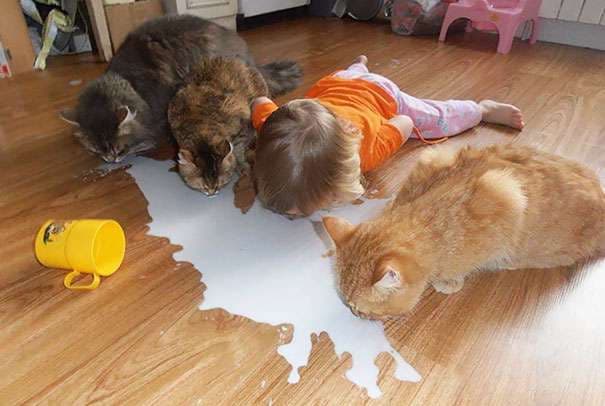 Kur fëmijët mbesin vetëm me kafshët (FOTO)
