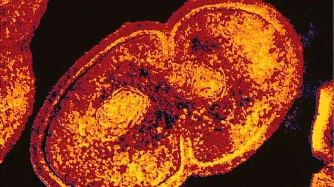 Shkencëtarët zhvillojnë antibiotikun më të fortë deri më tani